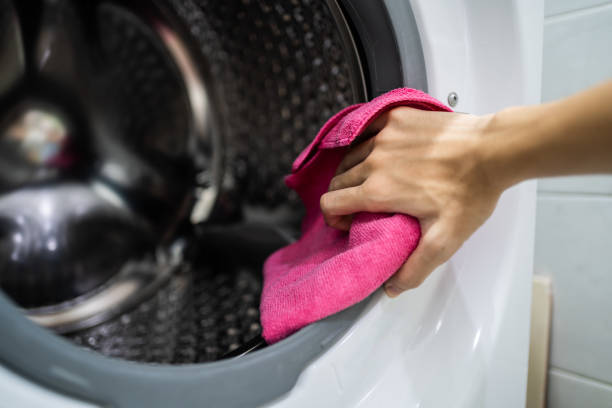 Best Dehumidification Services  in Roundup, MT