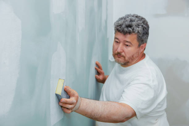 Best Post-Construction Mold Inspection  in Roundup, MT