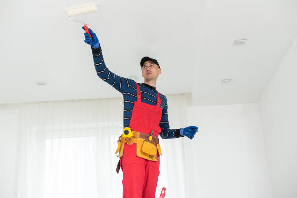 Best Environmental Consulting for Mold Prevention  in Roundup, MT