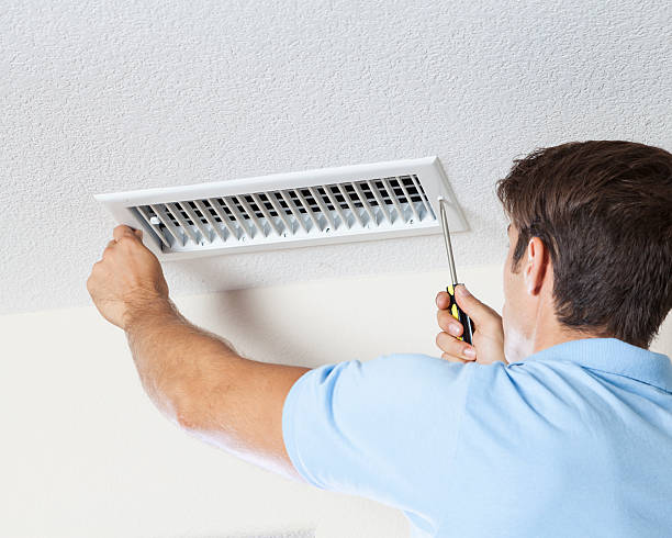 Best Forensic Mold Investigation  in Roundup, MT