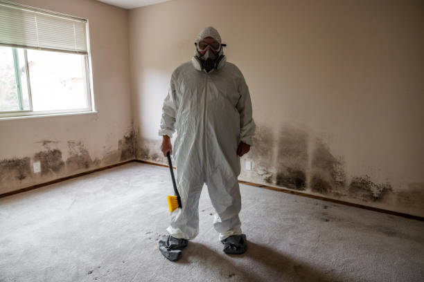 Best Emergency Mold Remediation  in Roundup, MT